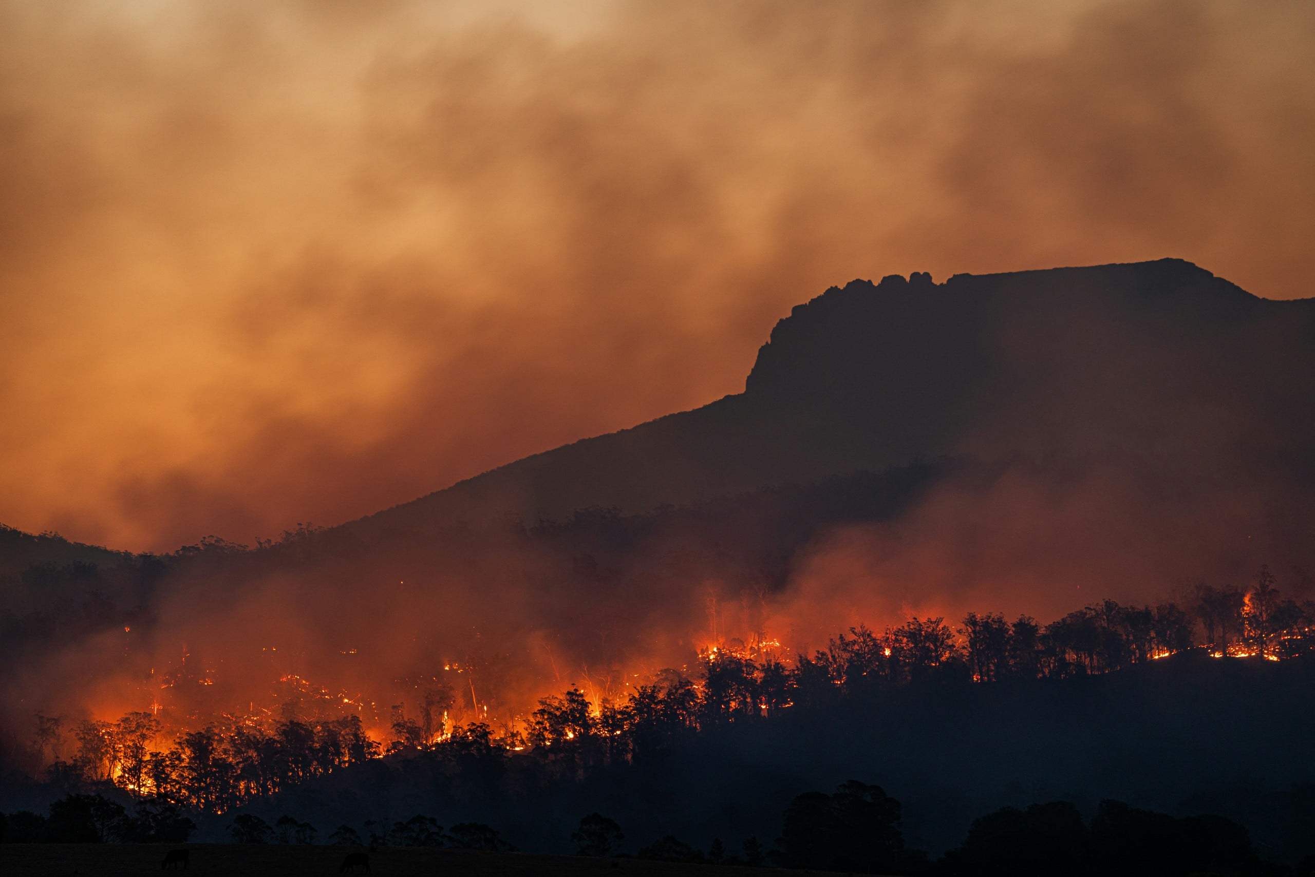 Environmental & Climate Advisory