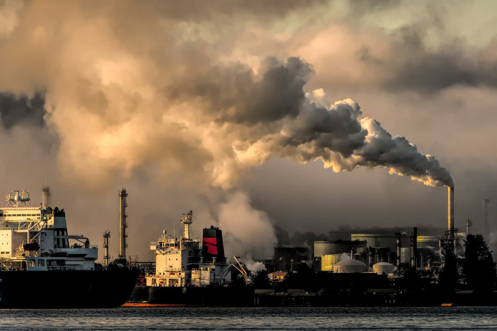 Carbon & Decarbonisation Advisory